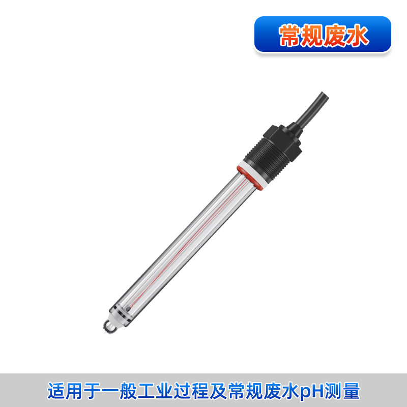 pH-6002 玻璃電極